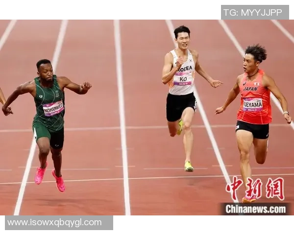 杭州亚运会乒乓球队表现出色以86分稳居积分榜首位